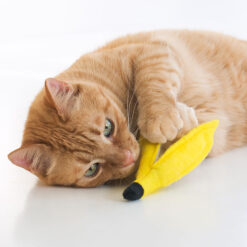 Alternative view of 香蕉皮玩具