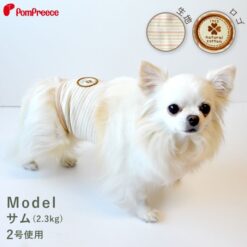 有機棉條子Manner Belt