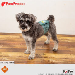 唐草富士山Manner Belt