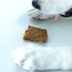 Alternative view of 南瓜里肌輕乳酪