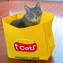 Alternative view of 薯片袋玩具