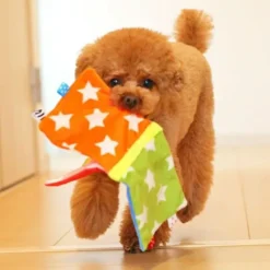 Alternative view of 書本玩具