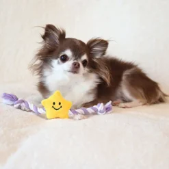 Alternative view of 棉繩星星玩具