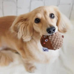 Alternative view of 可愛橡果玩具