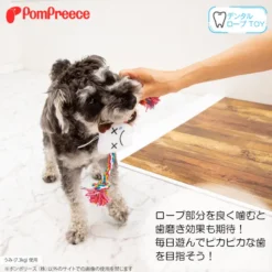 Alternative view of 牙齒家族棉繩玩具