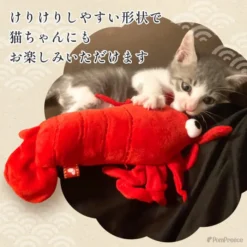 Alternative view of 龍蝦玩具