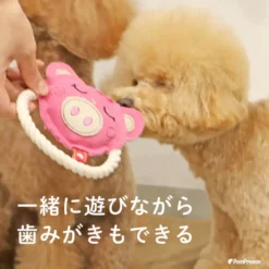 Alternative view of 豬先生潔齒棉繩玩具