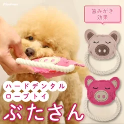 豬先生潔齒棉繩玩具