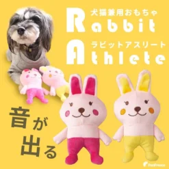 Alternative view of 兔子運動員玩具
