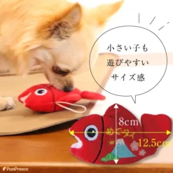 Alternative view of 鯛魚吉祥物玩具