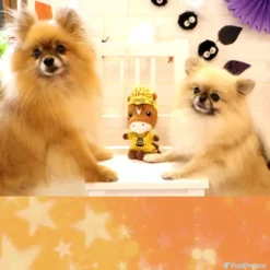 Alternative view of 美保村吉祥物玩具