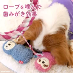 Alternative view of 可愛樹懶棉繩玩具