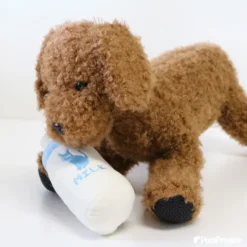 Alternative view of 快樂奶樽知育玩具