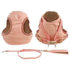 Alternative view of 星胸帶連拖帶