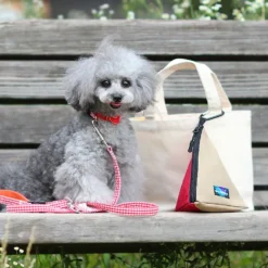 Alternative view of 三角雙色防水散步袋