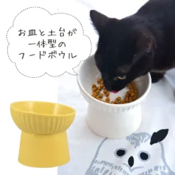 Alternative view of Pelpas立食傾斜陶瓷碗