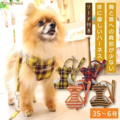 DP皇室格仔胸帶