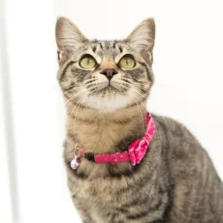 Alternative view of 星星蝴蝶結貓頸帶(幼貓用)